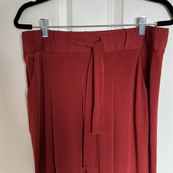 Burnt orange, stretchy, taper ankle pant express size medium - Picture 2 of 3